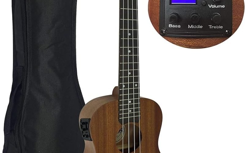 Tudo o que você precisa saber sobre o Ukulele Elétrico