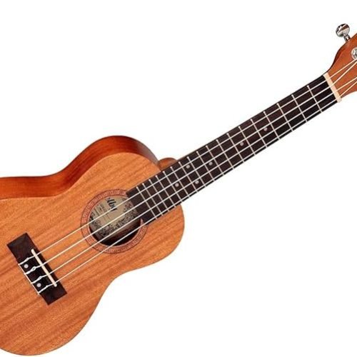 Cavaquinho ou Ukulele: Quais São as Diferenças?