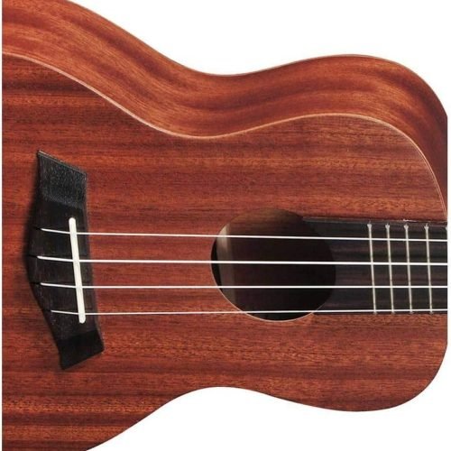 Glossário Completo de Termos para Ukulele: De A a Z